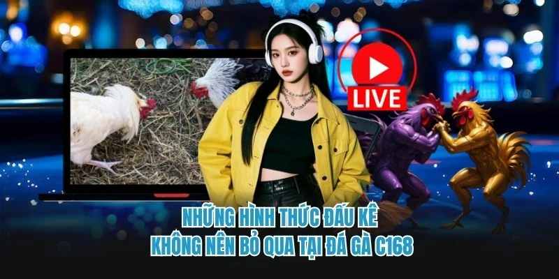 Những hình thức đấu kê không nên bỏ qua tại đá gà C168